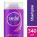 SEDAL SH. x340ml. LISO PERF.